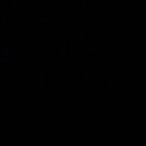 Meet your Posher, Tamia